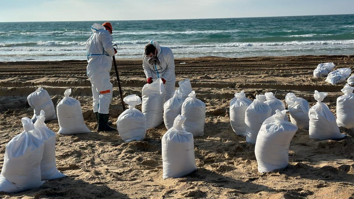    По подсчётам специалистов мазутное пятно исчезнет из моря в апреле. Фото: Движение «Экосистема»