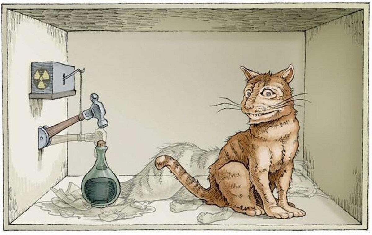 кот
