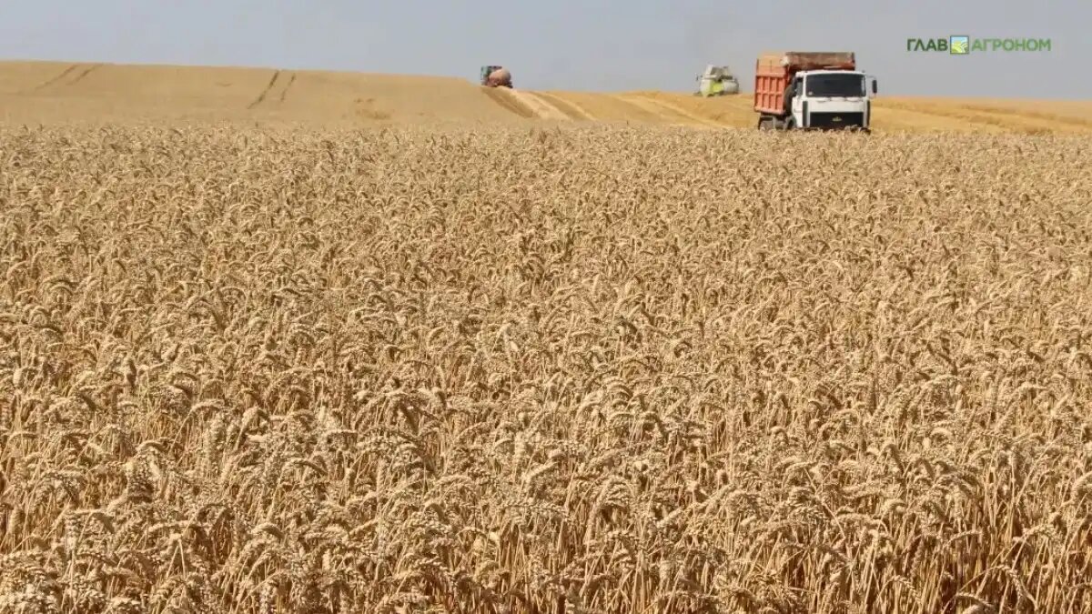 Фото:© Владимир Исаенко / Glavagronom.ru
Кремль и Белый Дом опубликовали свои заявления по итогам работы экспертных групп США и России в Эр-Рияде