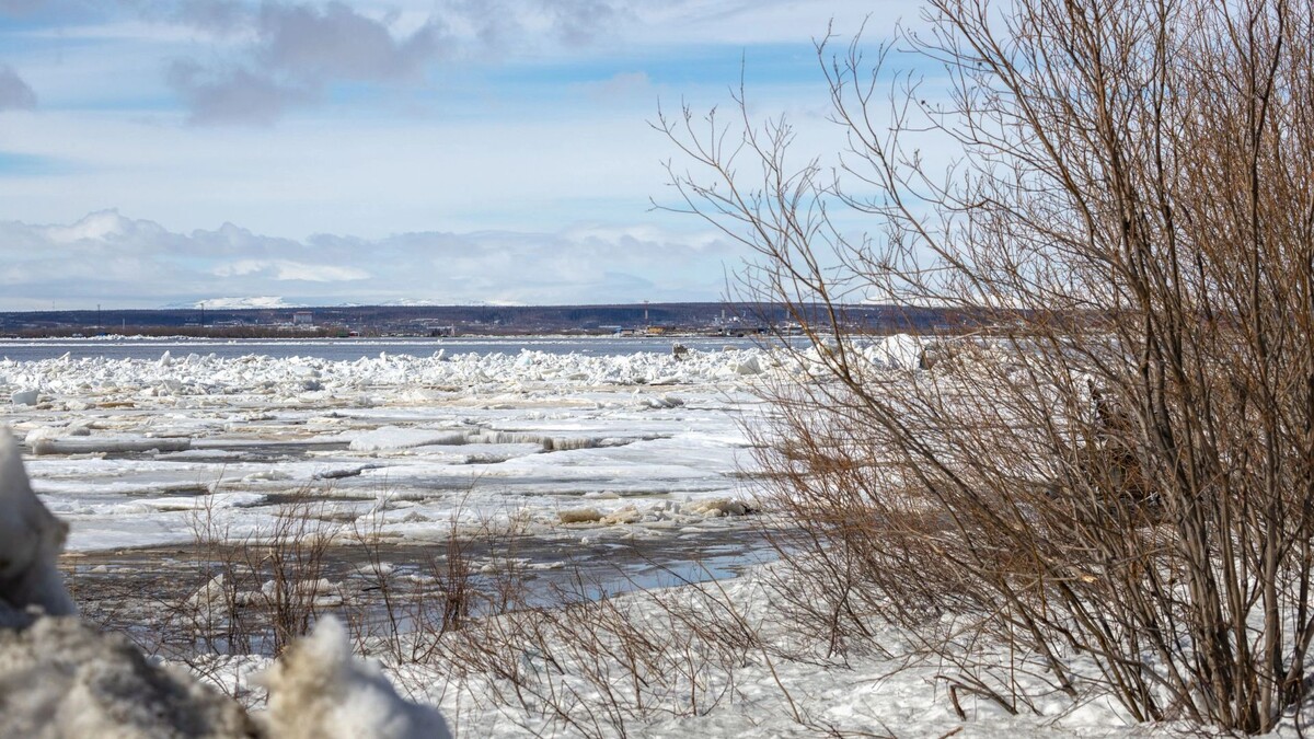    Фото: Федор Воронов/«Ямал-Медиа»