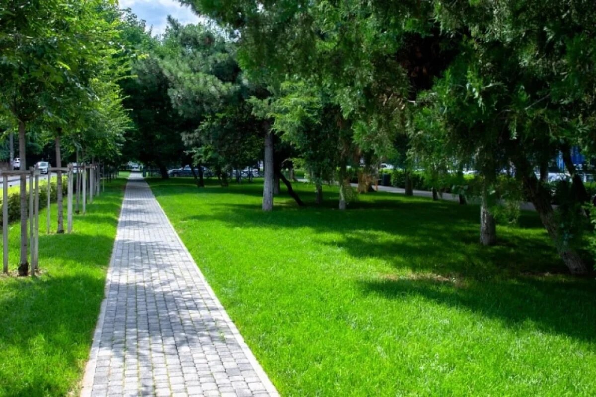    Благодаря нацпроекту на Кубани благоустроили 1,5 тыс. парков и скверов