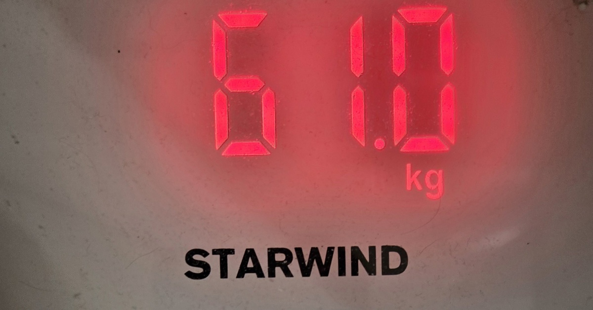 Стрекоза опять худеет. День 25-й