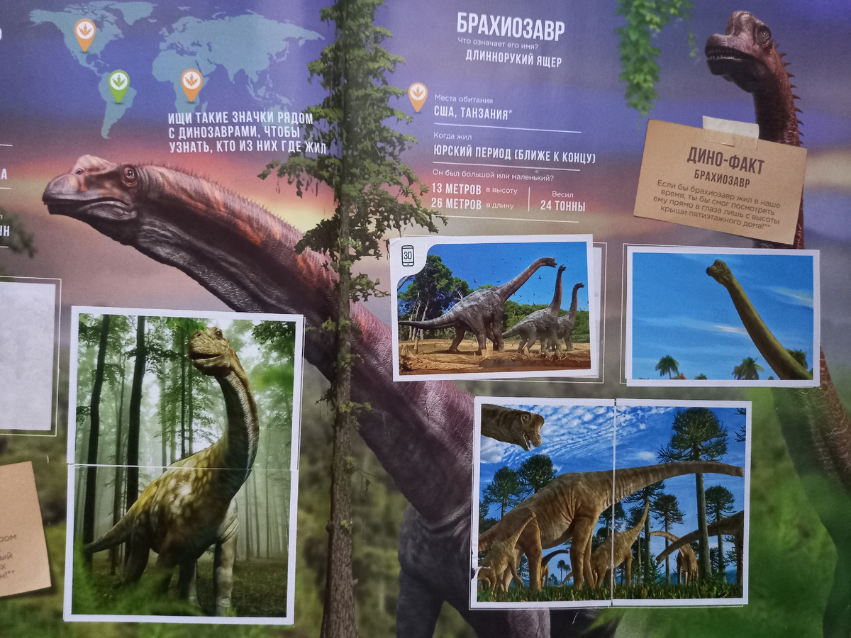 Наклейки с динозаврами. Фото автора.