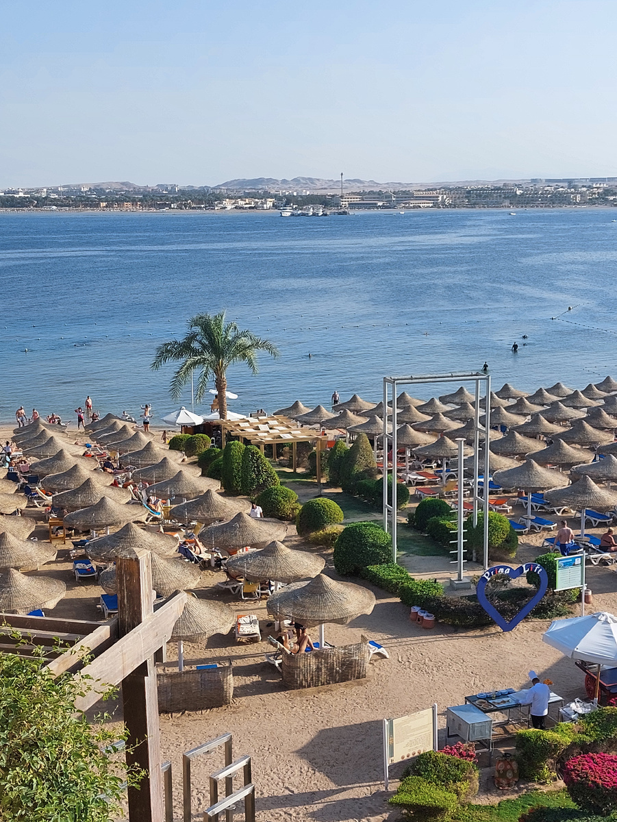 Разделительная полоса, где проходит йога и стрейчинг