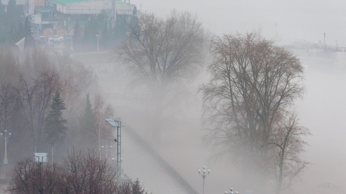    Фото: Svetlana Vozmilova/globallookpress.com