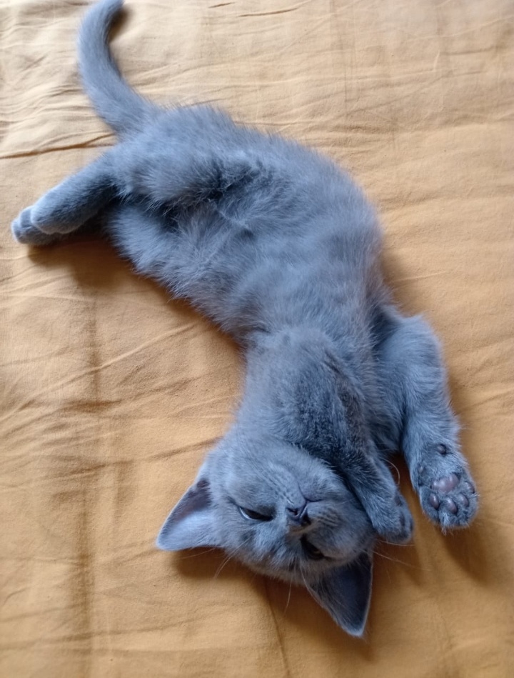 Фото автора.