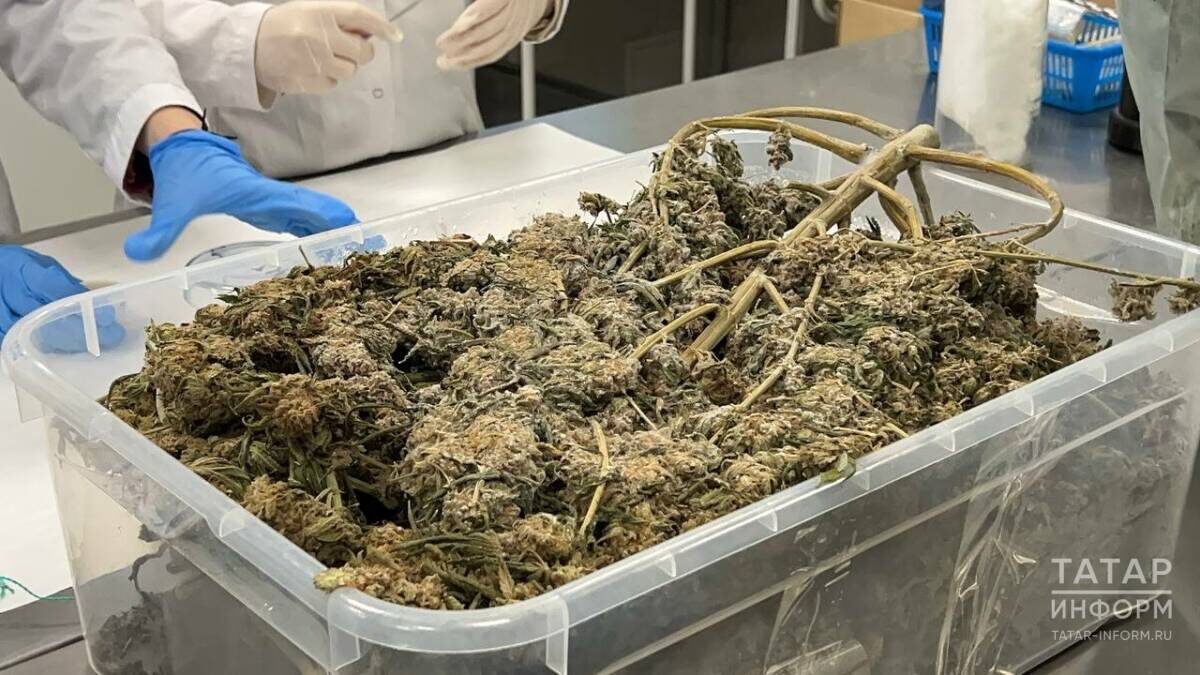 Фото: © Кирилл Гумиров / «Татар-информ»