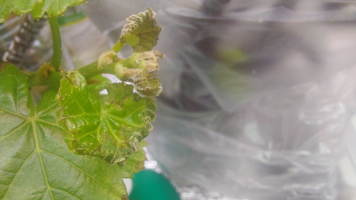 Фото подписчика. 