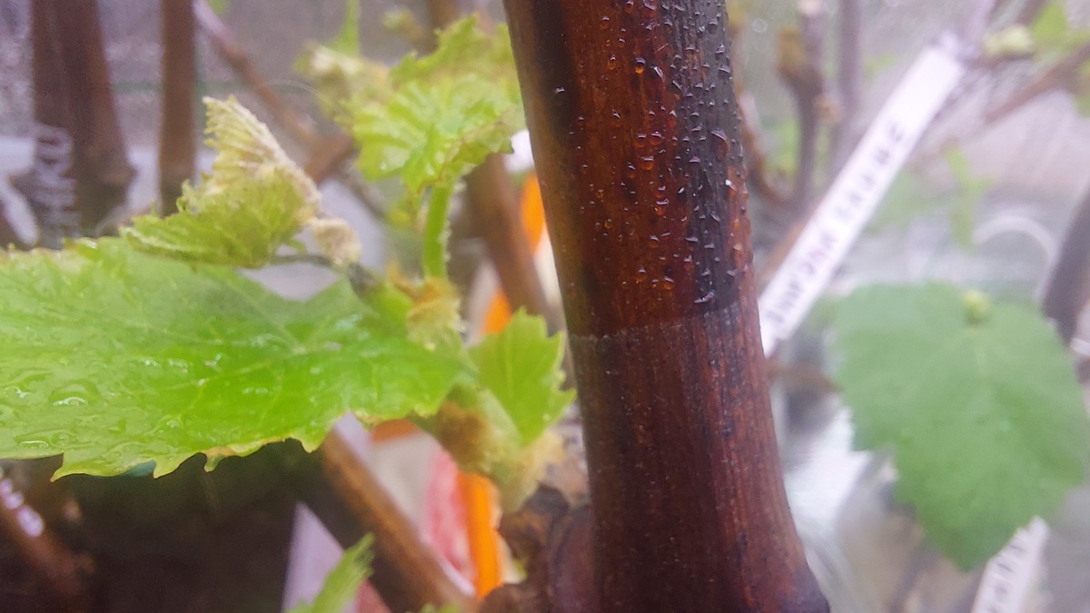 Фото подписчика. Сверху явно был "экран"  