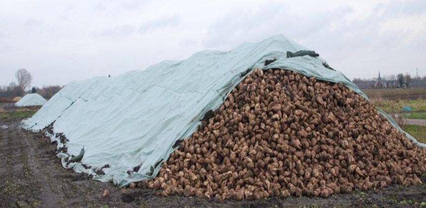 Сверху  насыпали солому, а потом толстый слой земли.