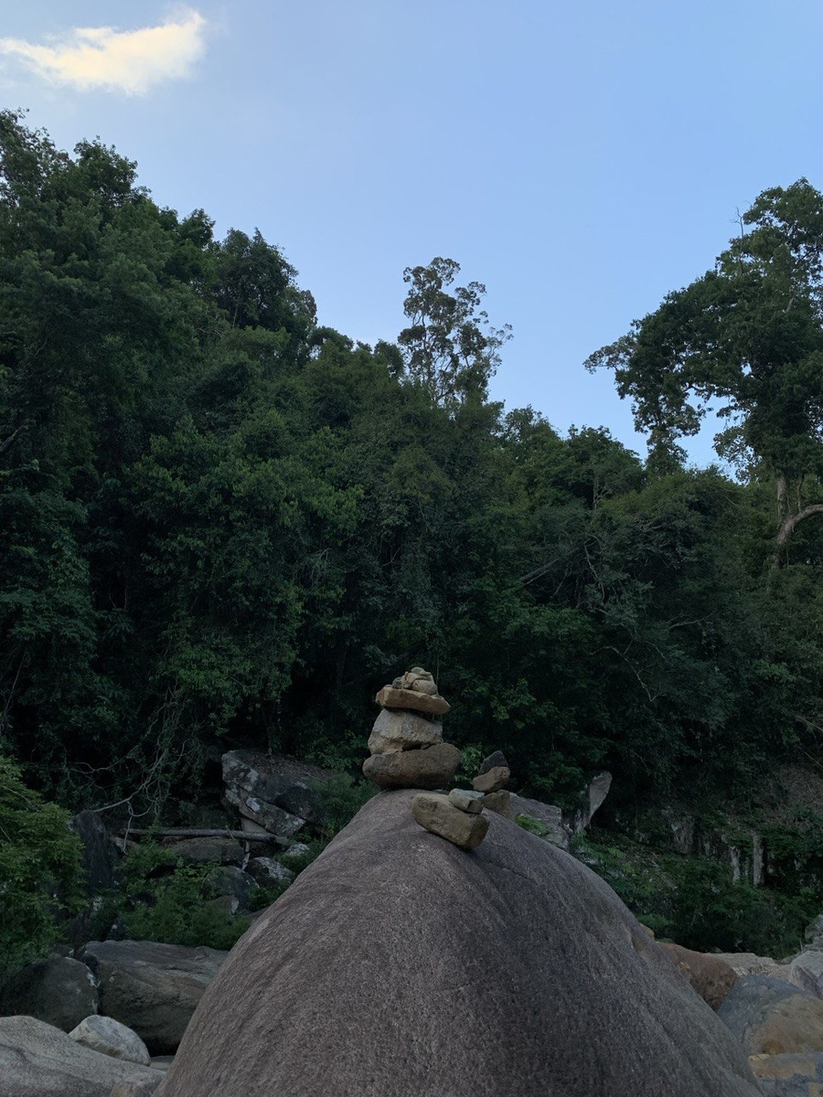 Август, 2024г