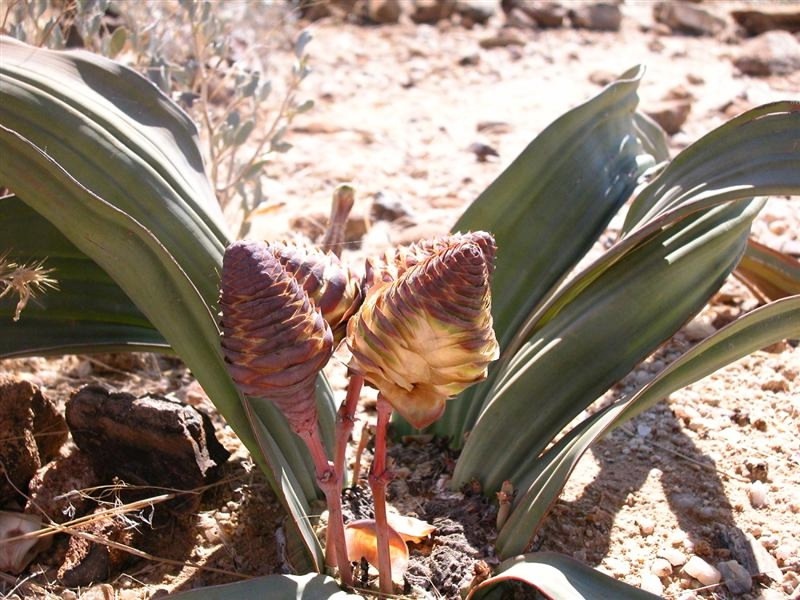 Фото: Carlos Reis / Flickr.com