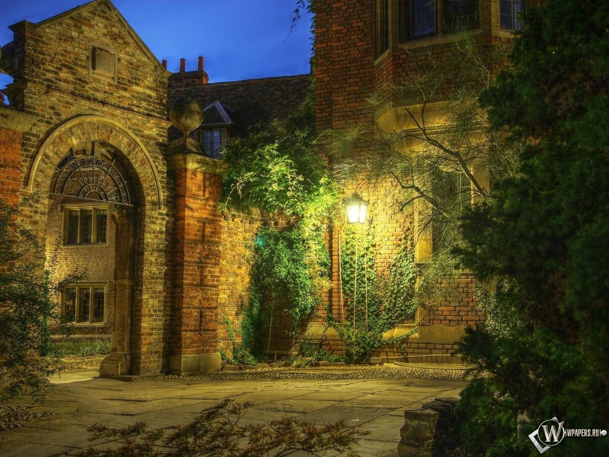 фото из интернета