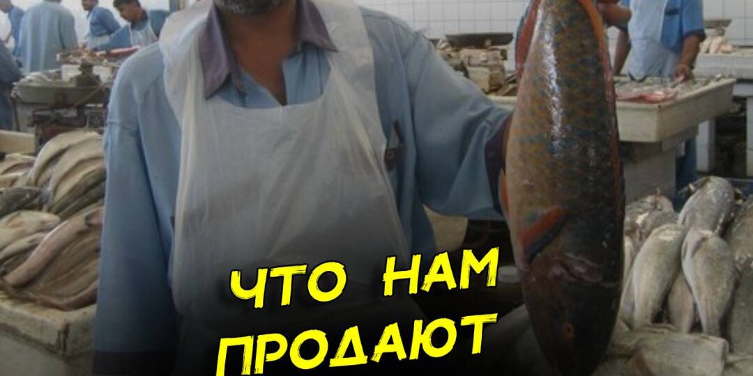 17 лет беру у продавца рыбу, а он впервые услышал про описторхоз. Кто нам продает еду