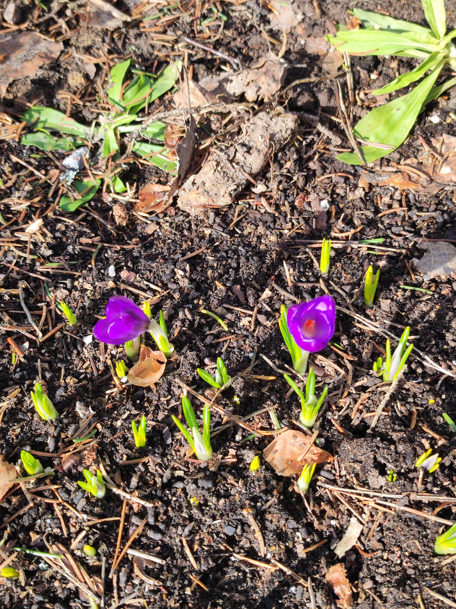 Фото автора канала