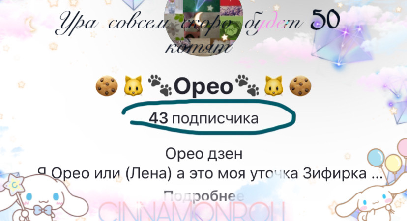 Осталось 7 котят