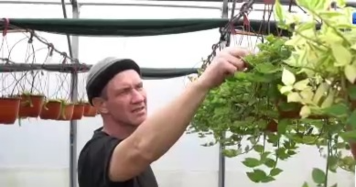 Фото: кадр видео