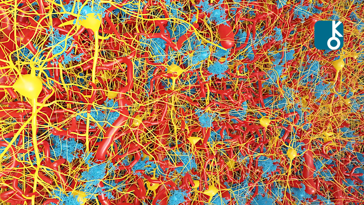 Нейроны, глия и кровеносная система, использованные в симуляции исследователя Шичкова и др.