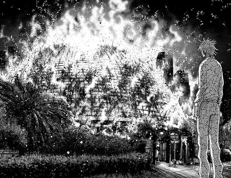 «Алиса в Пограничье» (2010-2016)