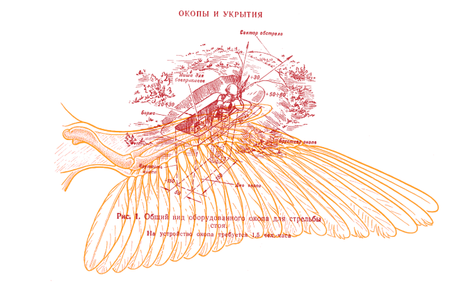 Иллюстрация книги