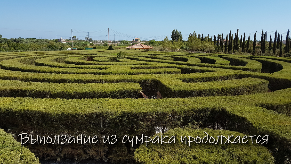 Фото из архива автора. Кипр, 2016 год 