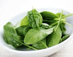 Фото из открытого источника 