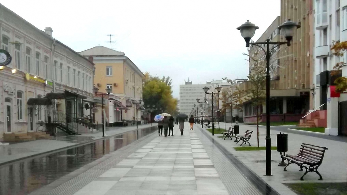    Власти Саратова объяснили снос деревьев их массовым поражениемНовости Саратова и области – Сетевое издание «Репортер64»