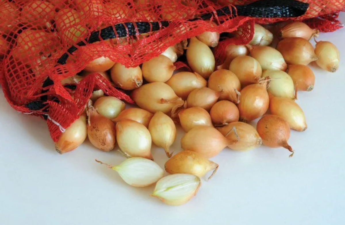 Источник фото: klubsadprof.ru