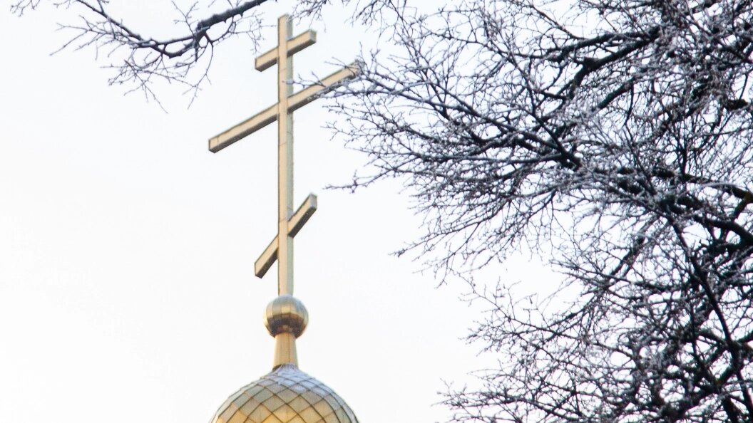    Фото: Oksana Korol/Business Online/Globallookpress