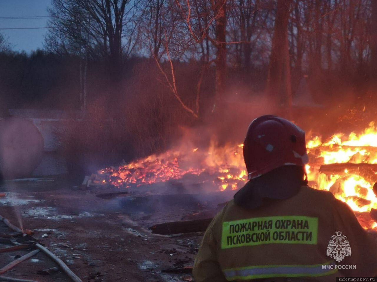 Фото: пресс-служба МЧС России по Псковской области