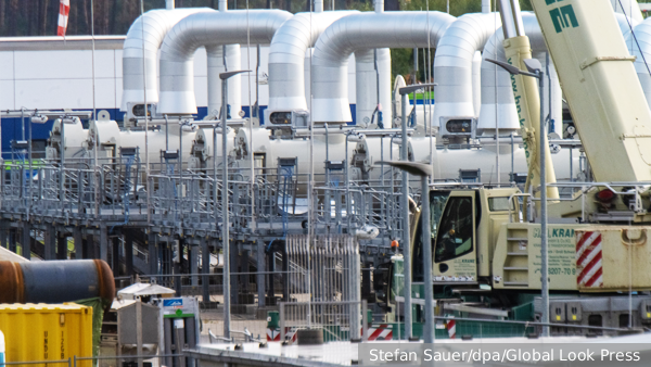     Фото: Stefan Sauer/dpa/Global Look Press   
 Текст: Вера Басилая