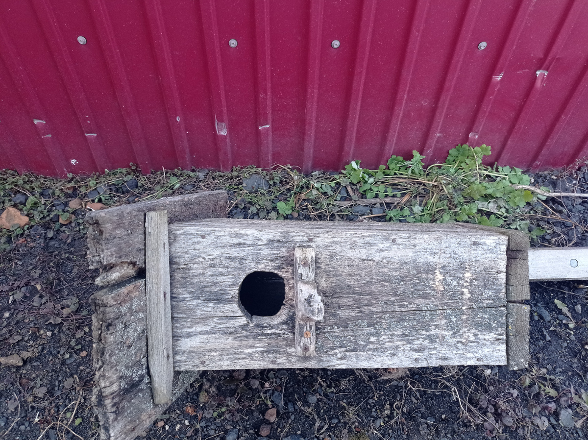 Старый скворечник 