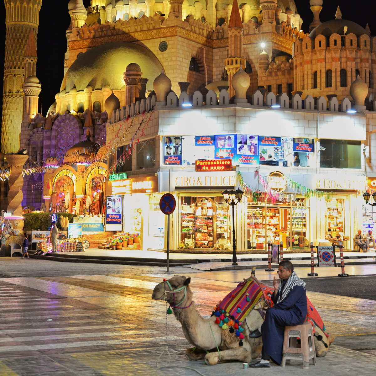 Покататься на верблюде?