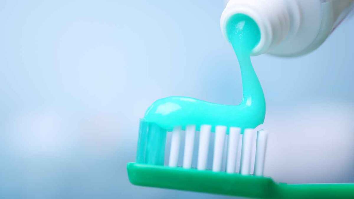 Фото: Africa Studio/Shutterstock.com