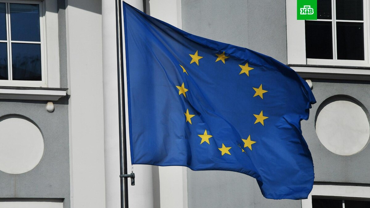    Фото: РИА Новости © 2025, Наталья Селиверстова