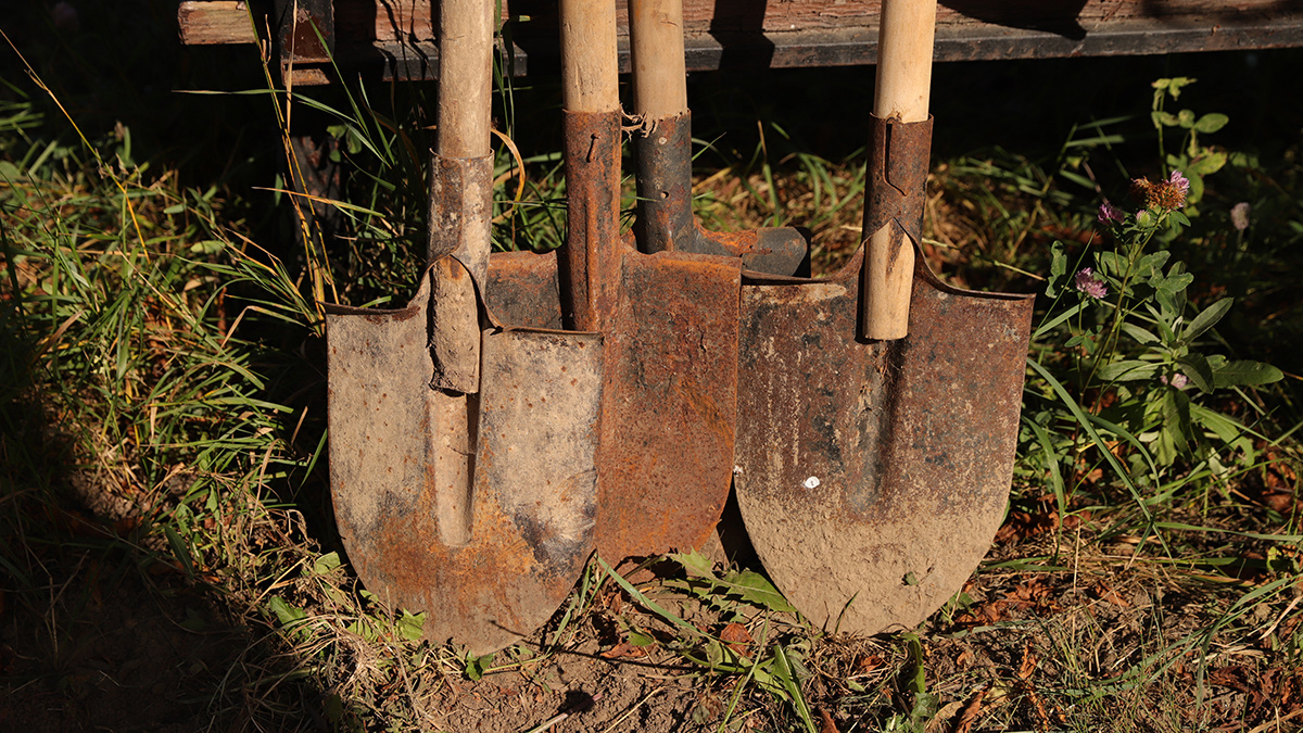    Фото: vm.ru Георгий