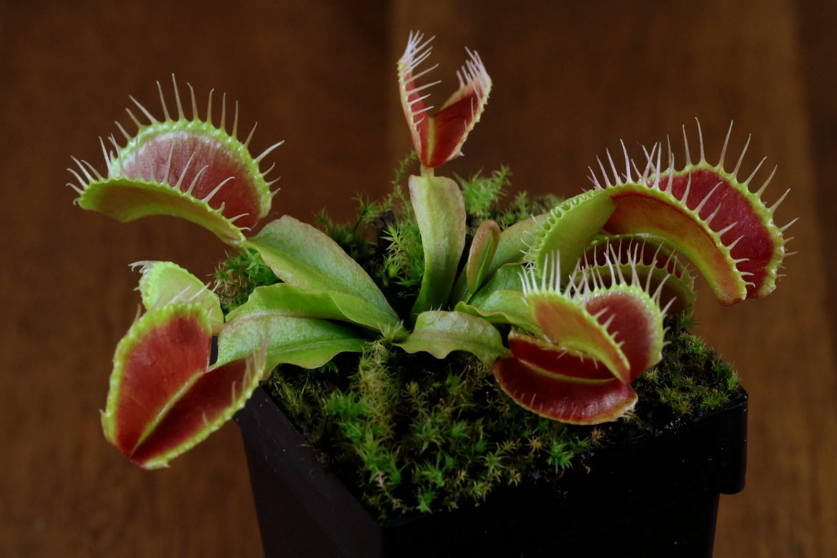 Источник фото: uquiz.com