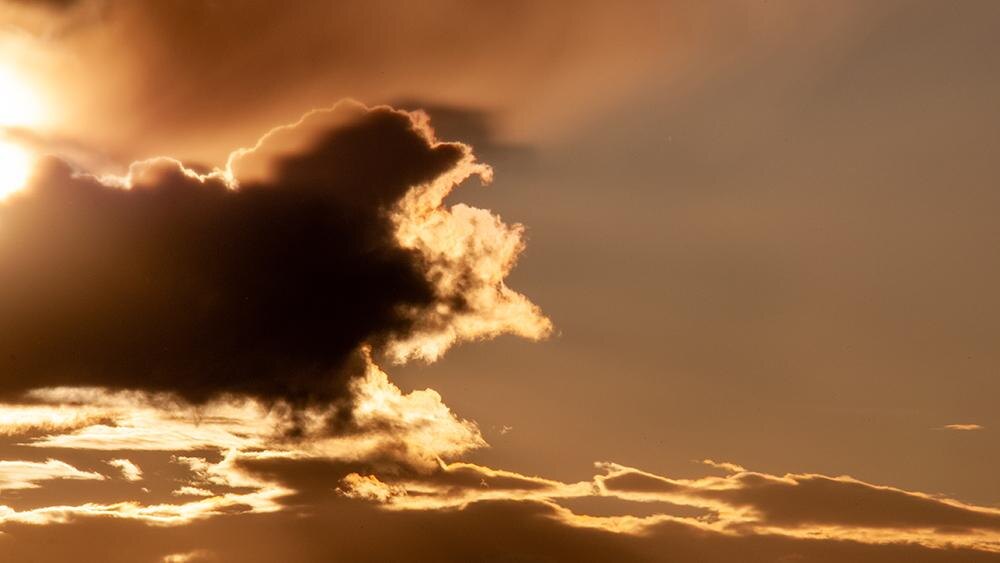    Фото: Svetlana Vozmilova/Global Look Press