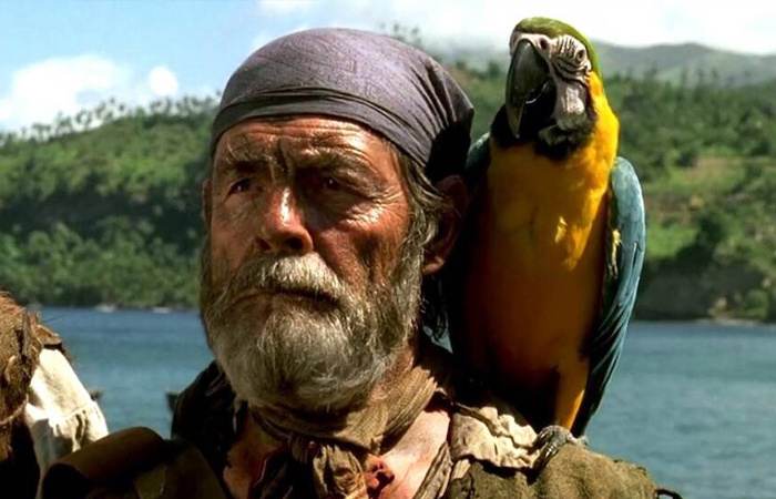 Попугай на плече придавал большого статуса пирату/ фото: travelask.ru