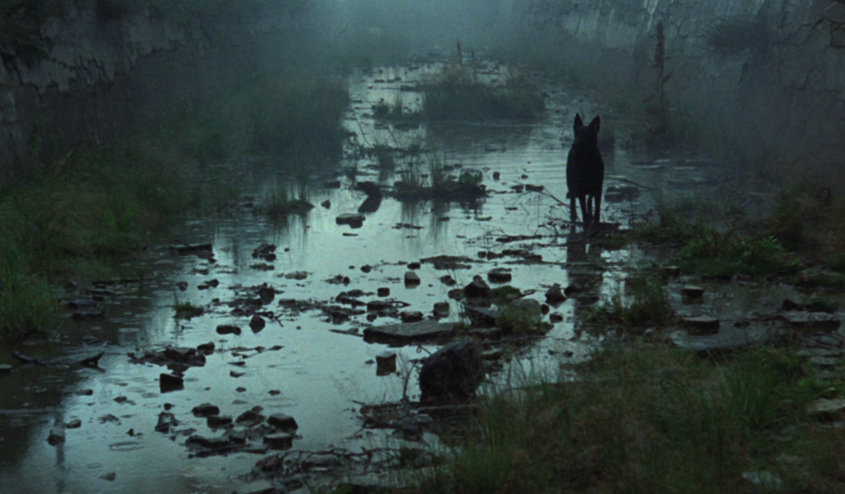 Кадры из фильма «Сталкер», 1979