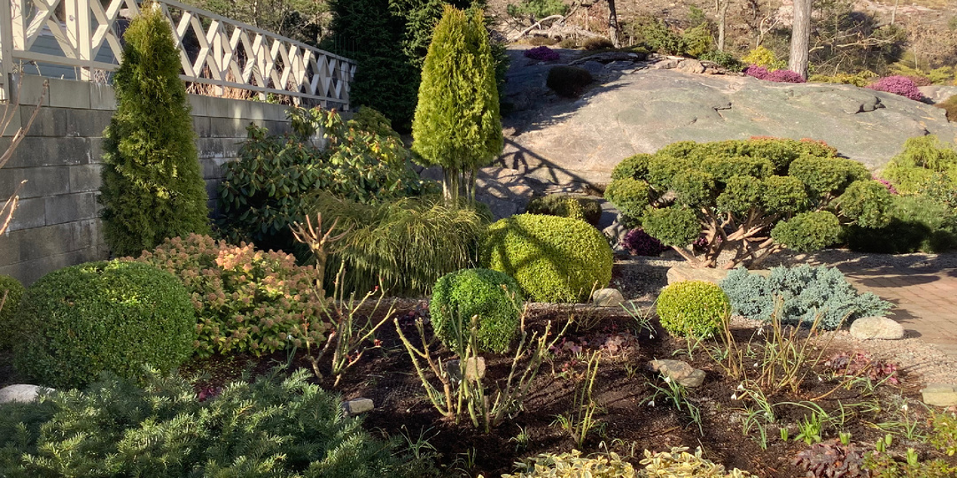 Садовые работы в конце марта в "Саду в стране троллей".