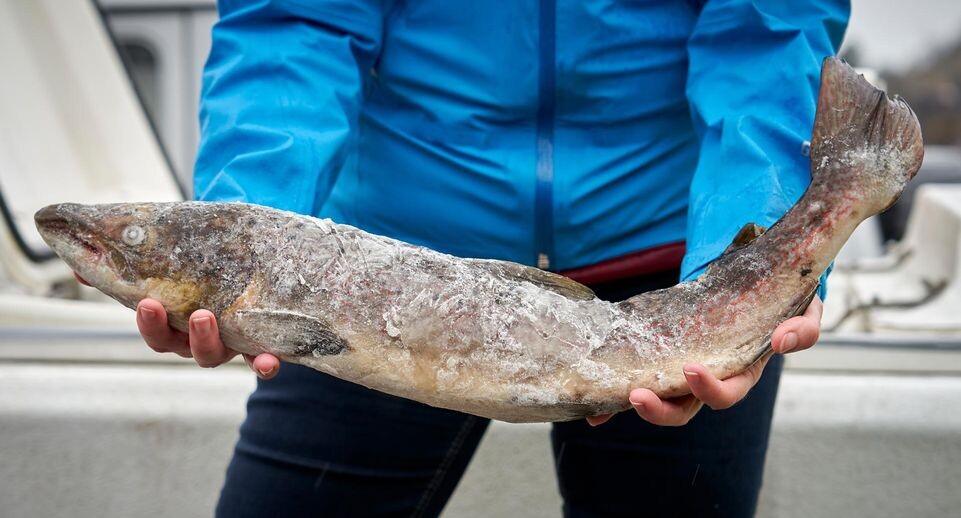    Sascha Ditscher/dpa / www.globallookpress.com