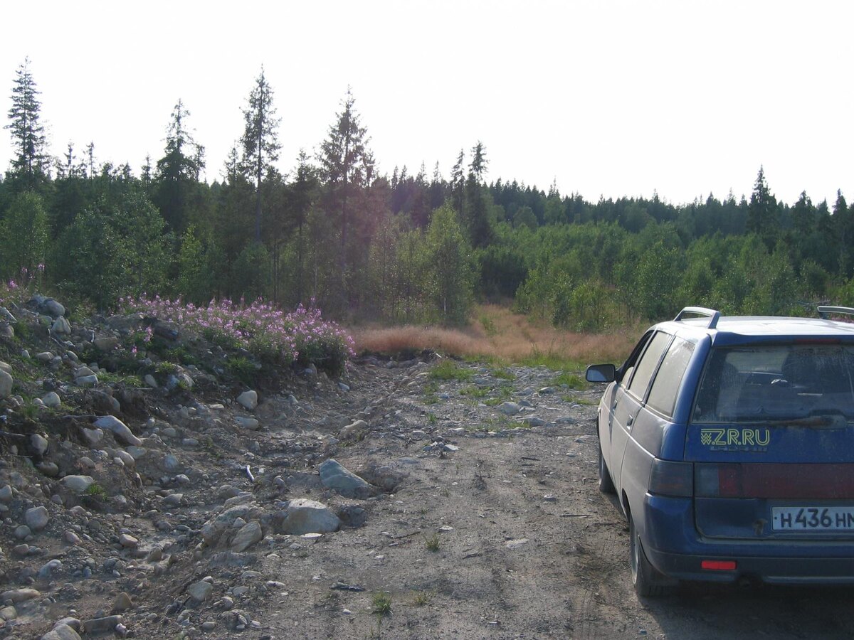 В лес уходит дорога в Варлов лес. Фото моё - правда пришлось загрузить её с сайта ZR.RU - мой компьютер помнит не всё. Оригинал где-то есть.