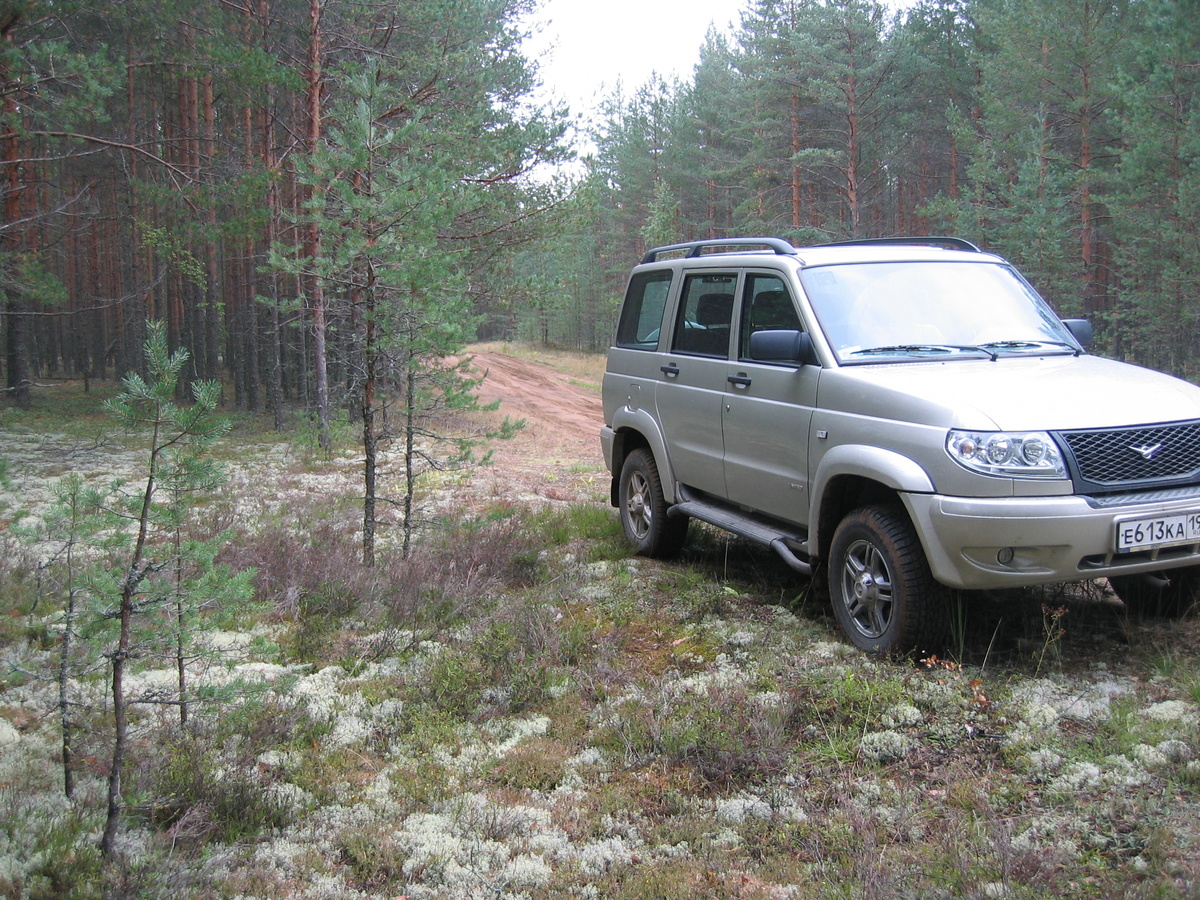 Мерёжская дорога