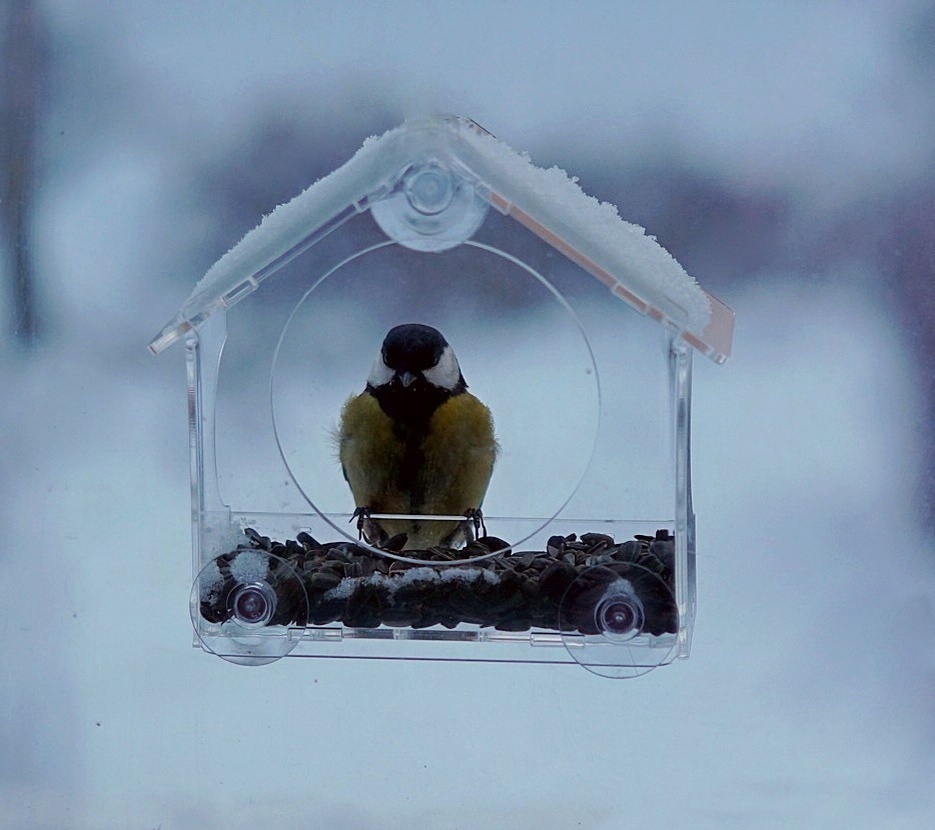 Все фото авторские. 