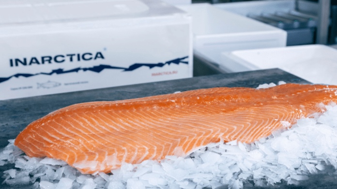 Лосось от Инарктики. Источник: Яндекс.Картинки