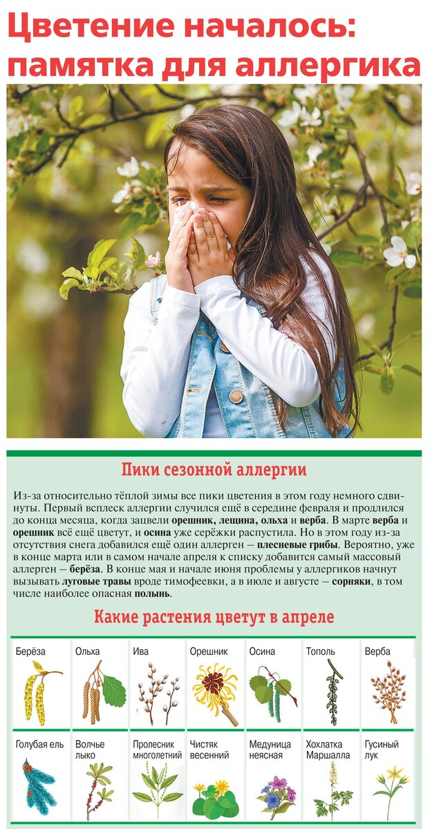    Нажмите для увеличения