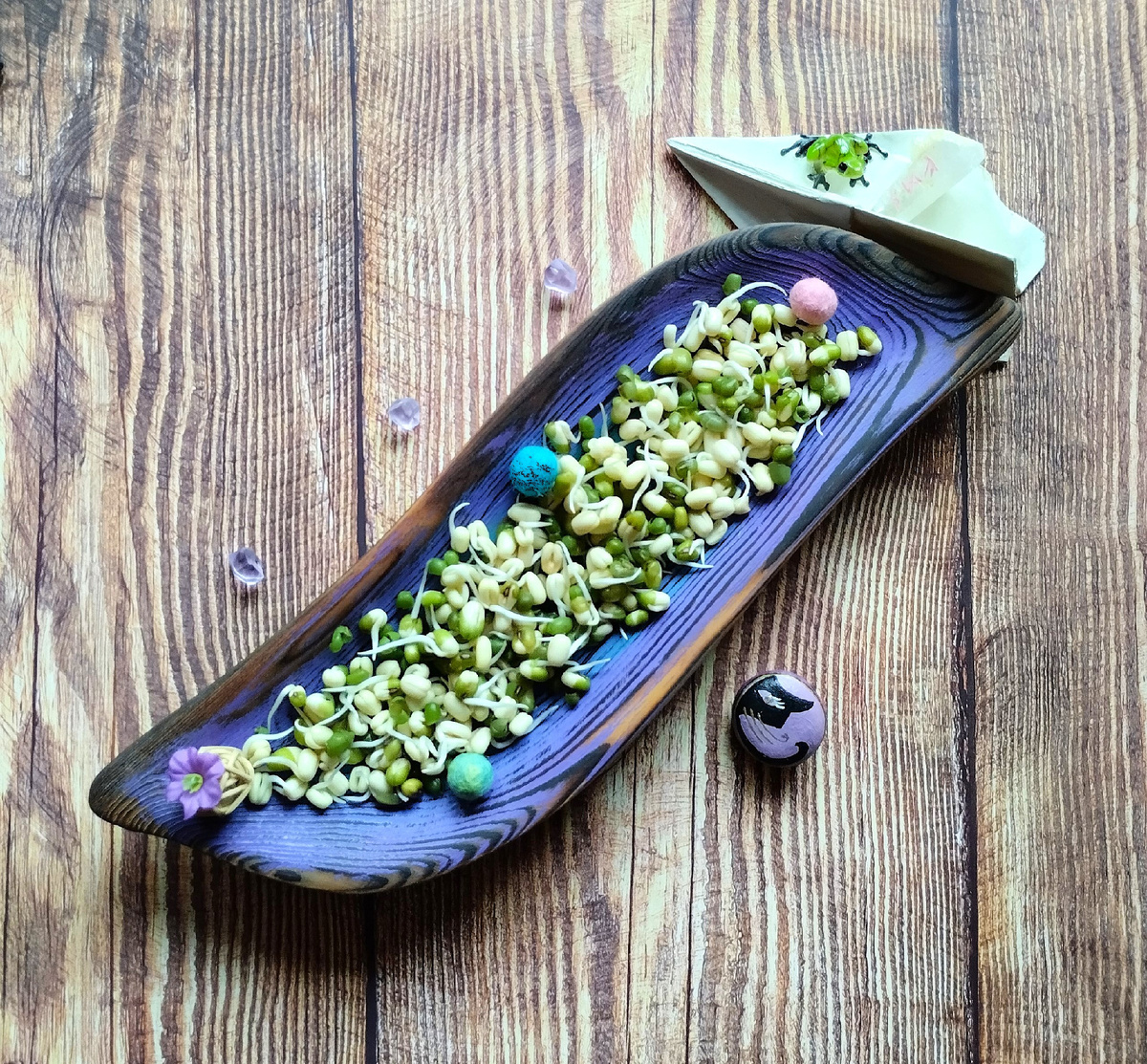 Проростки бобов маша.