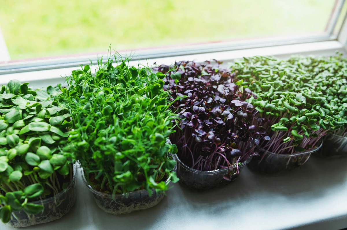 Источник фото: shutterstock.com