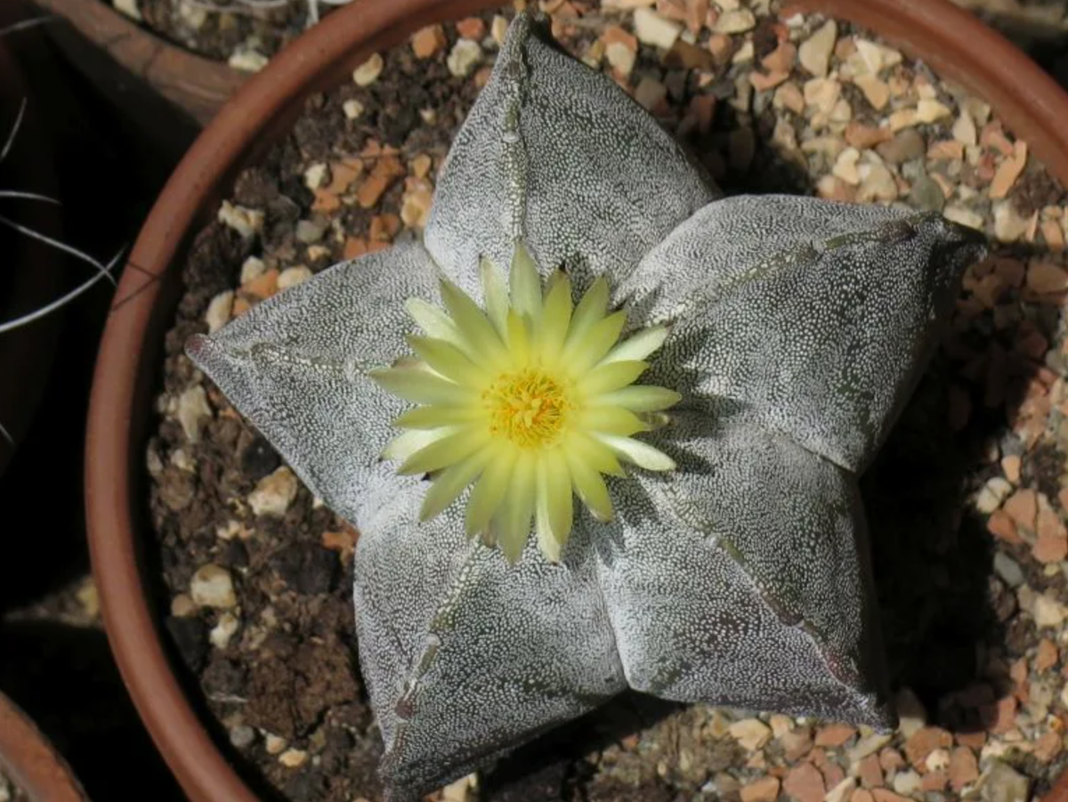 Источник фото: ncsemena.ru